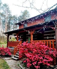 Tranquil Cabin with Hot Tub & Creek Views Near Bass Pro, Kodak Tennessee - Kodak, Tennessee - glamping.directory