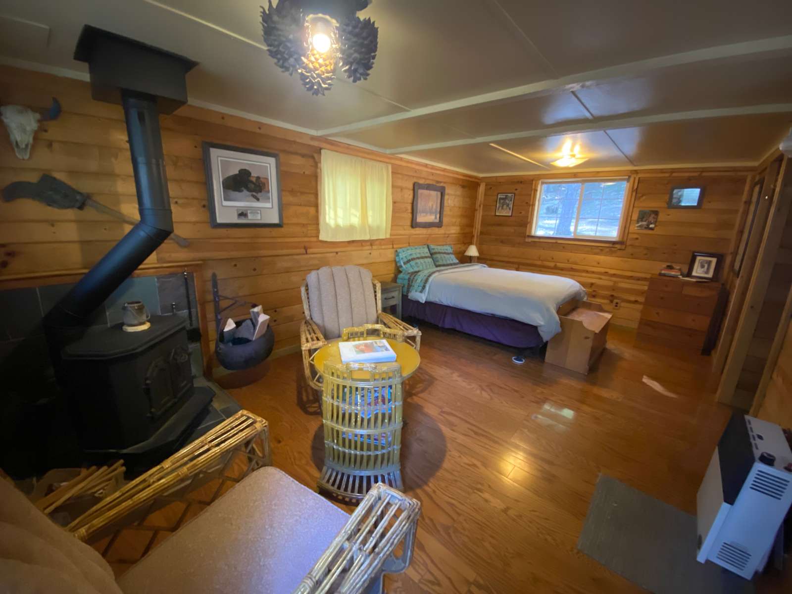 Hull Mt. Cabins - glamping.directory