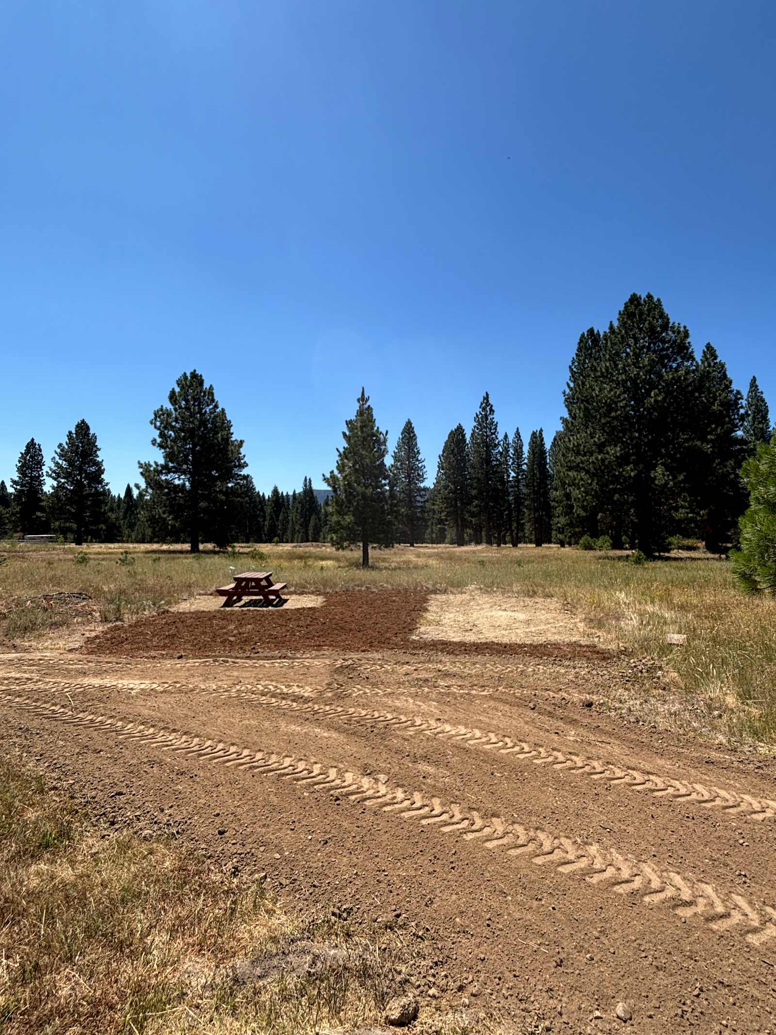 Lost Arrow Ranch Retreat - Calpine, California - glamping.directory