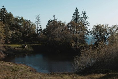 Gorgeous and Rustic Event Venue with Multiple Cabins and Yurts, Perfect for any Special Occasion with a Natural Touch - Dunlap, California - glamping.directory