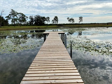 Secluded Florida Cabin Rental Ideal for Weekend Getaways from Tampa - Spring Hill, Florida - glamping.directory
