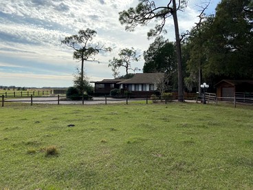 Secluded Florida Cabin Rental Ideal for Weekend Getaways from Tampa - Spring Hill, Florida - glamping.directory