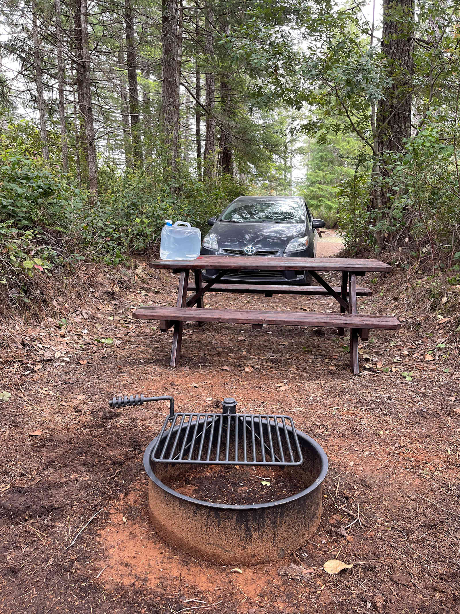 Free Your Mind Camping - glamping.directory