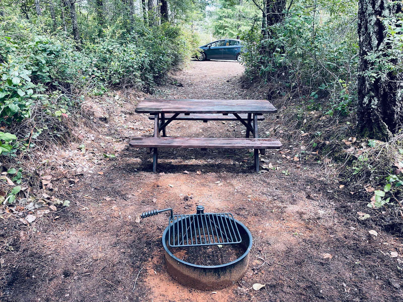 Free Your Mind Camping - Gasquet, California - glamping.directory