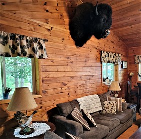 Idyllic Pet-Friendly Waterfront Cabin with Private Boat Dock on Teale Lake in Hayward, Wisconsin - Hayward, Wisconsin - glamping.directory
