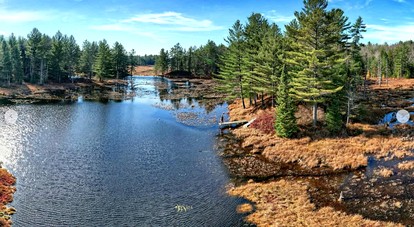 Secluded and Off-Grid, Pet Friendly Cabin on Private Pond in Glenfield, New York - Glenfield, New York - glamping.directory