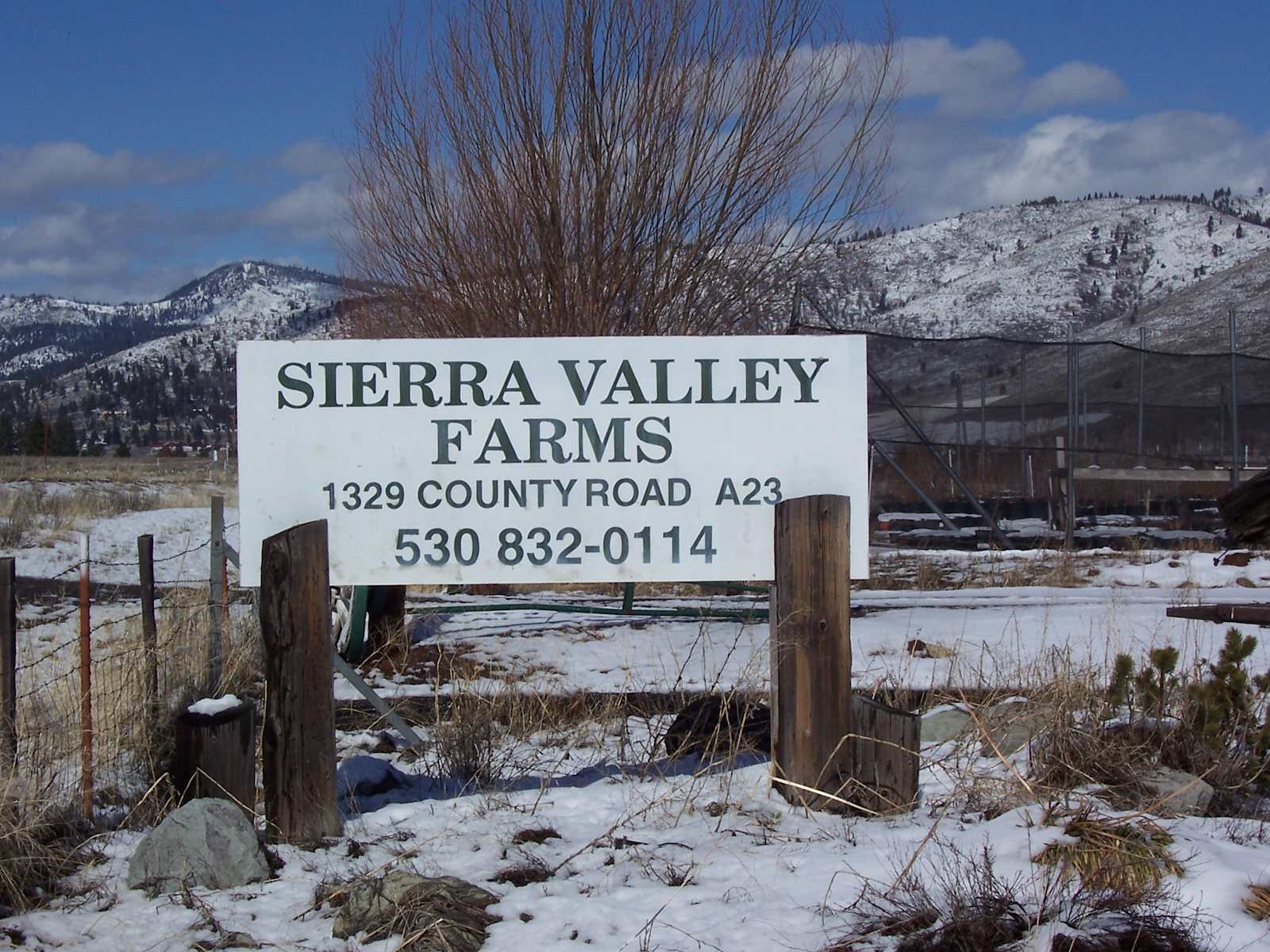 Sierra Farms Meadow View Camp Sites - Beckwourth, California - glamping.directory