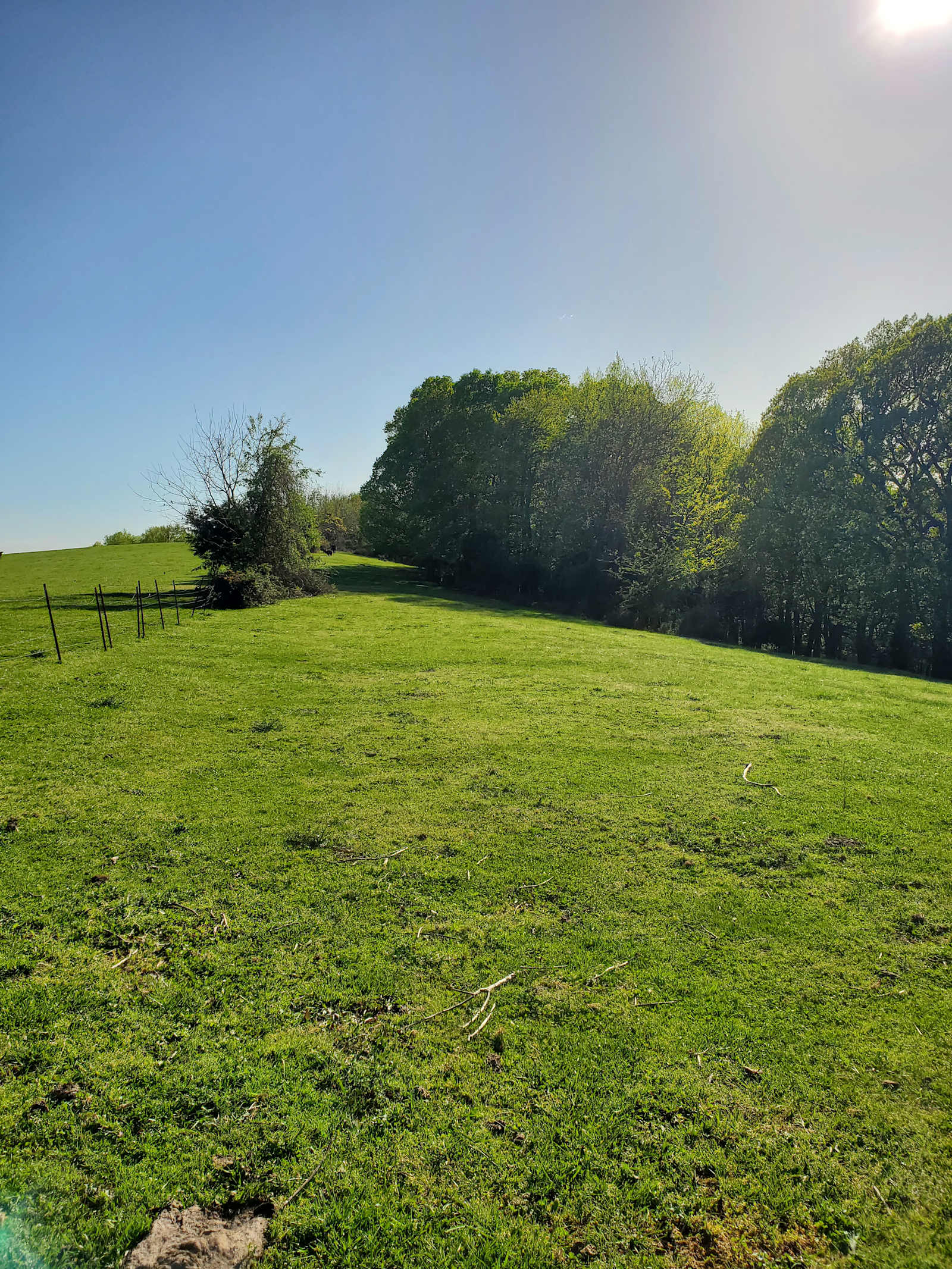 Bullwick Farms - West Fork, Arkansas - glamping.directory