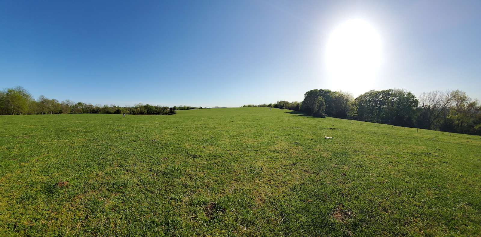Bullwick Farms - glamping.directory