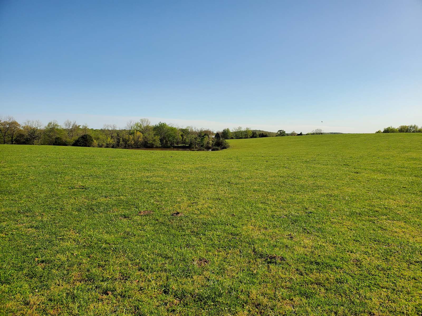 Bullwick Farms - West Fork, Arkansas - glamping.directory