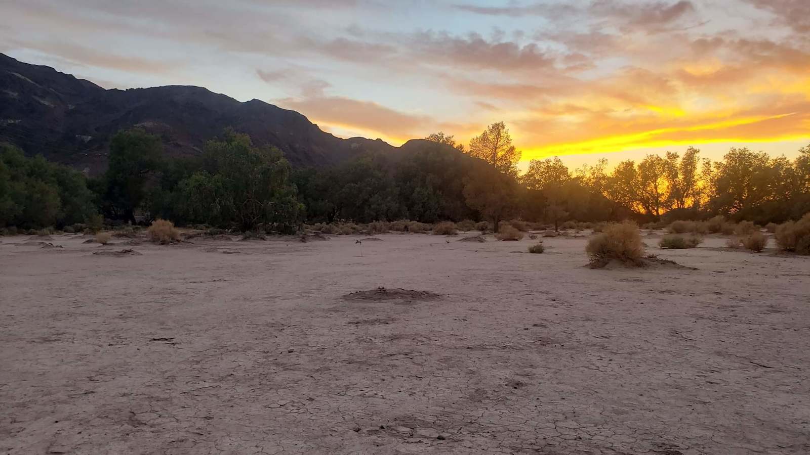 Mountain Shadow Hideaway - Newberry Springs, California - glamping.directory