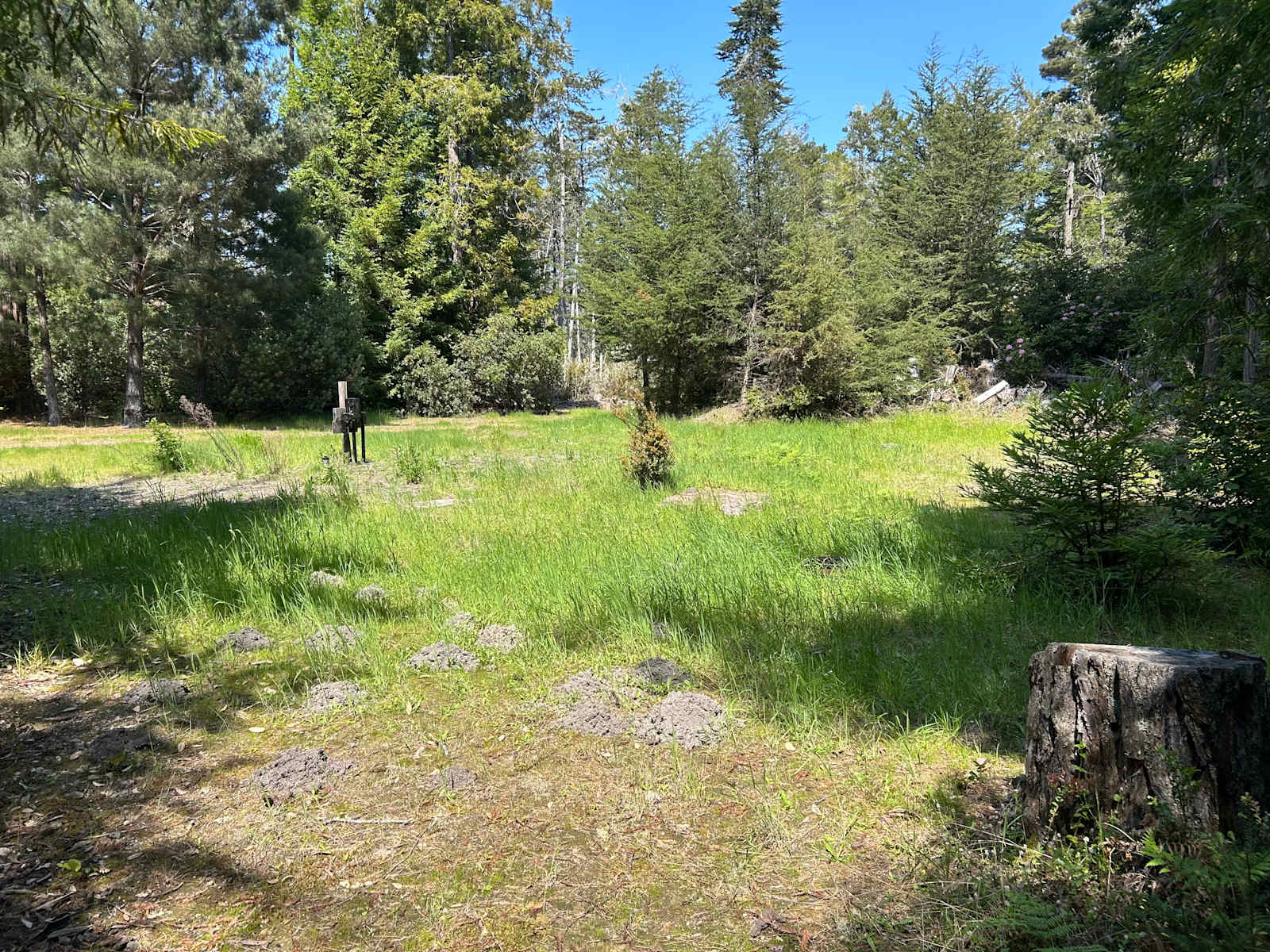 Albion Retreat - Albion, California - glamping.directory