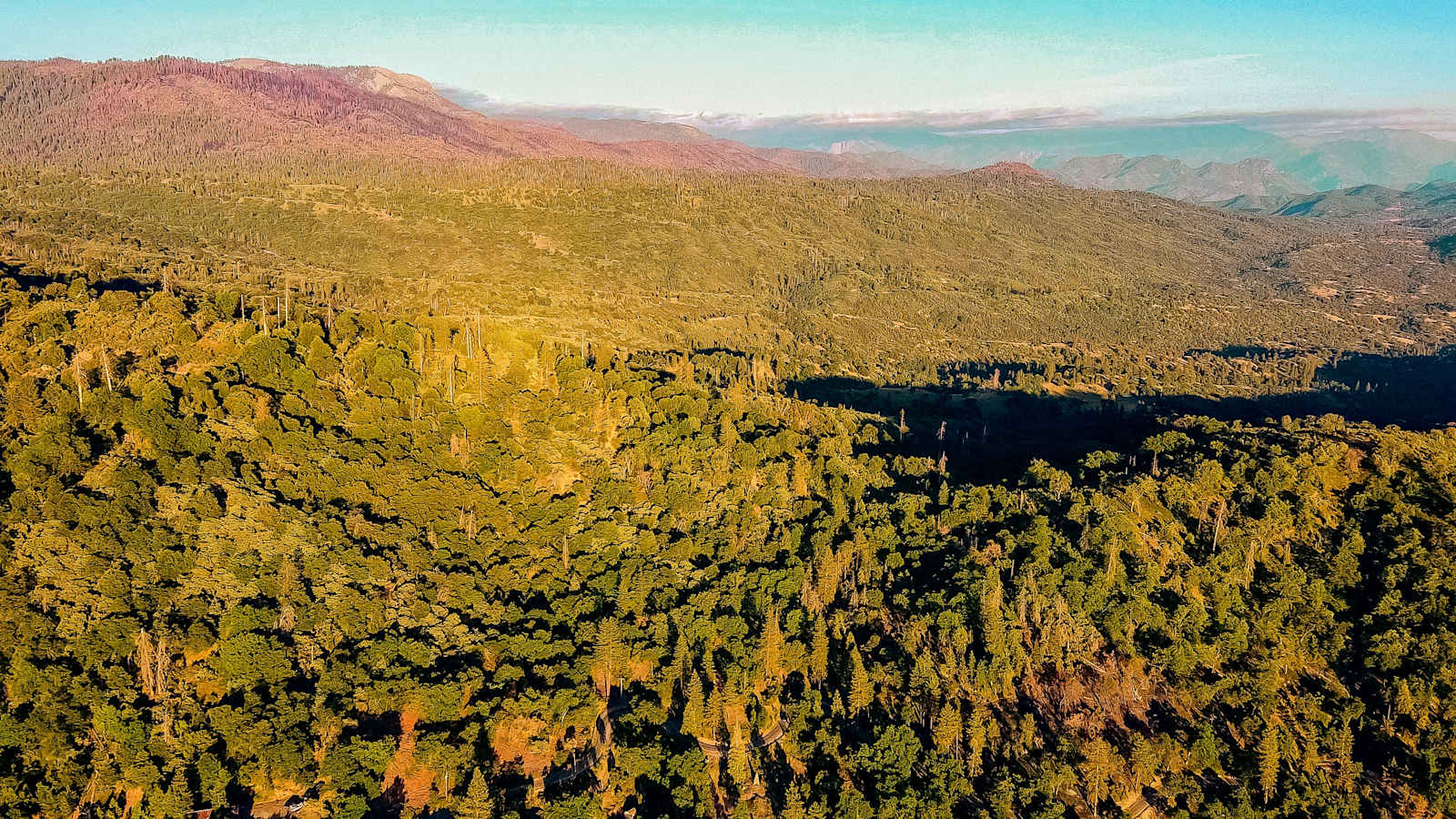 Sequoia Mountain Farms - Miramonte, California - glamping.directory