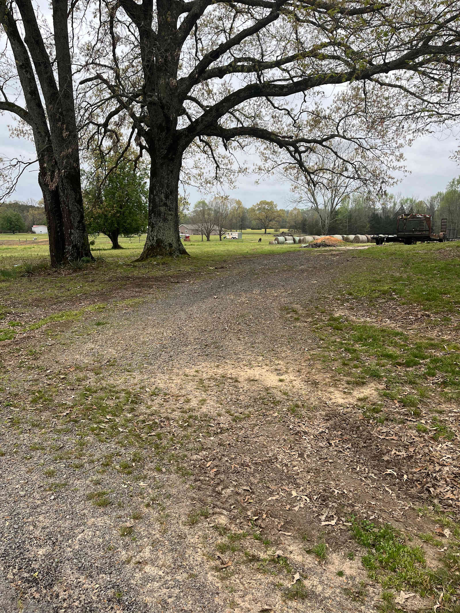 DMB Horse Farm - glamping.directory