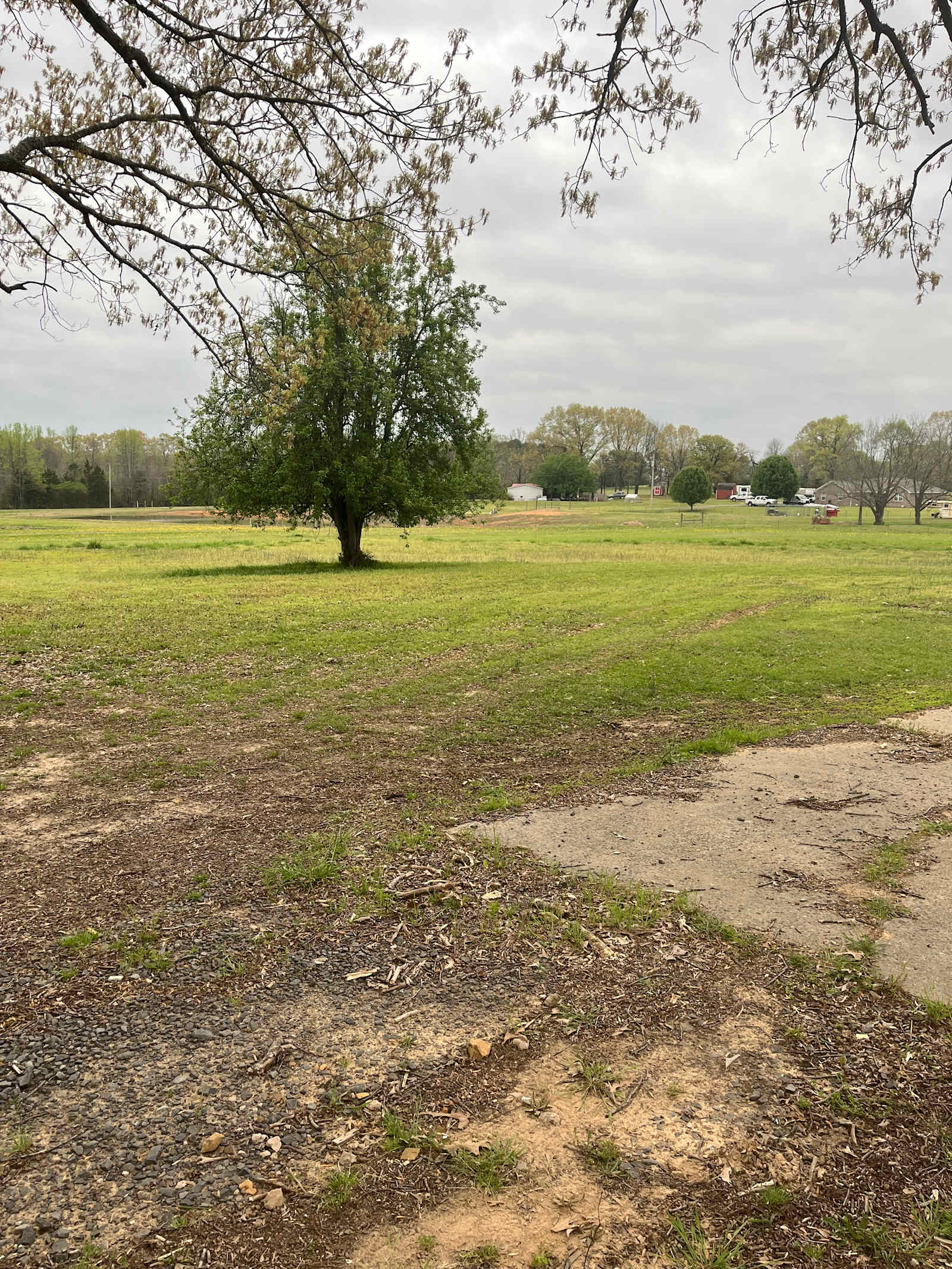 DMB Horse Farm - Wooster, Arkansas - glamping.directory