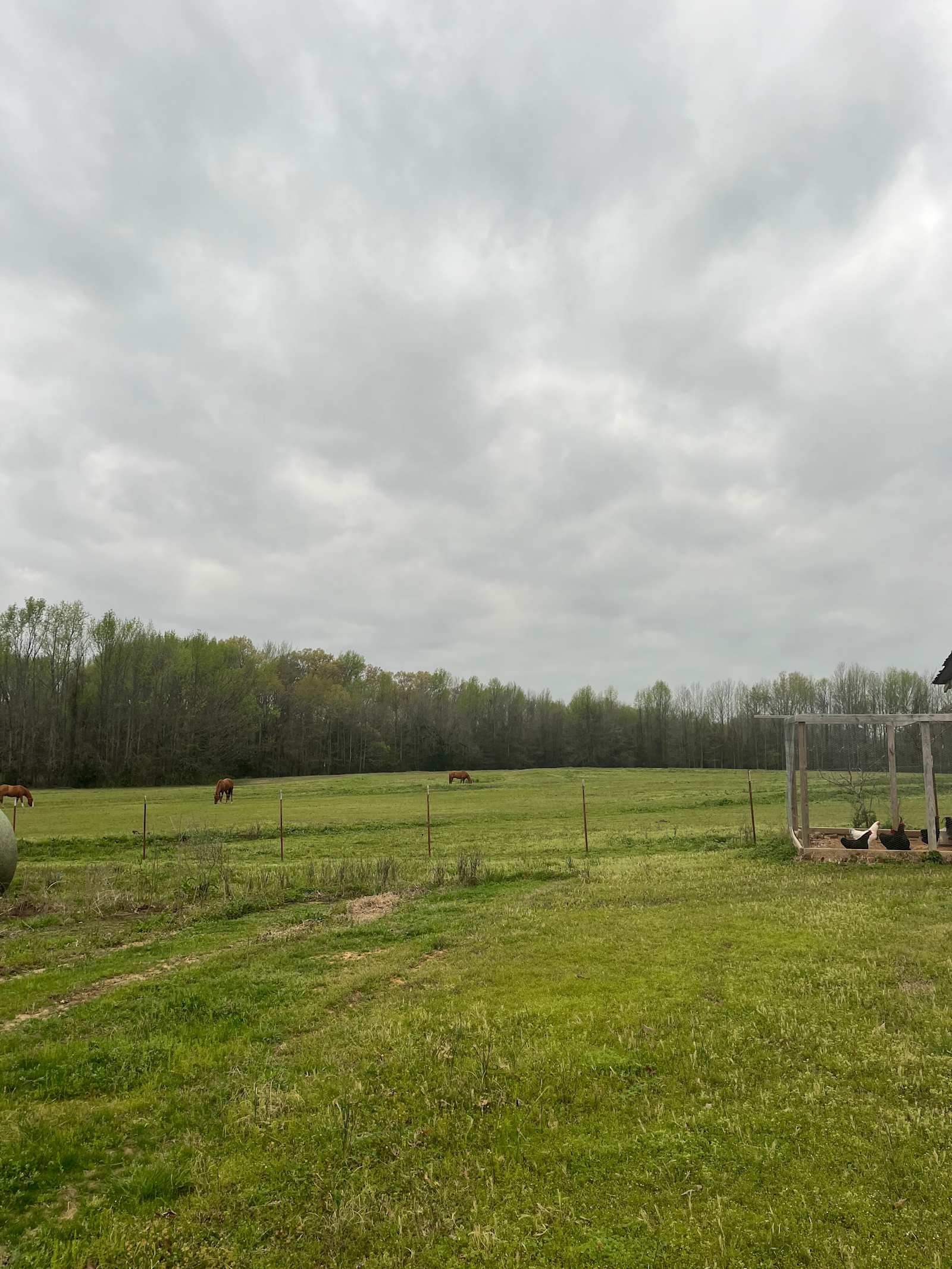 DMB Horse Farm - Wooster, Arkansas - glamping.directory