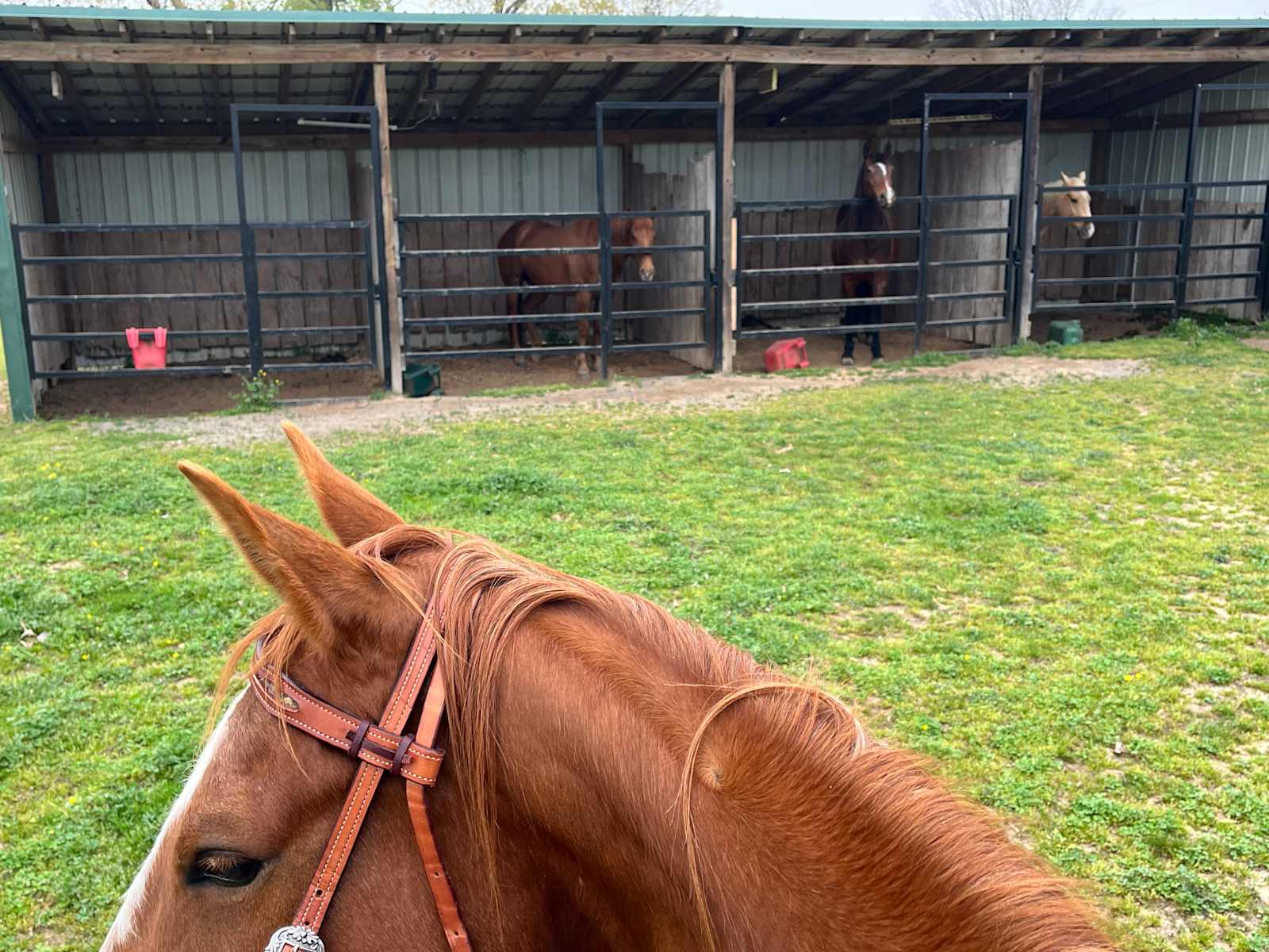 DMB Horse Farm - Wooster, Arkansas - glamping.directory