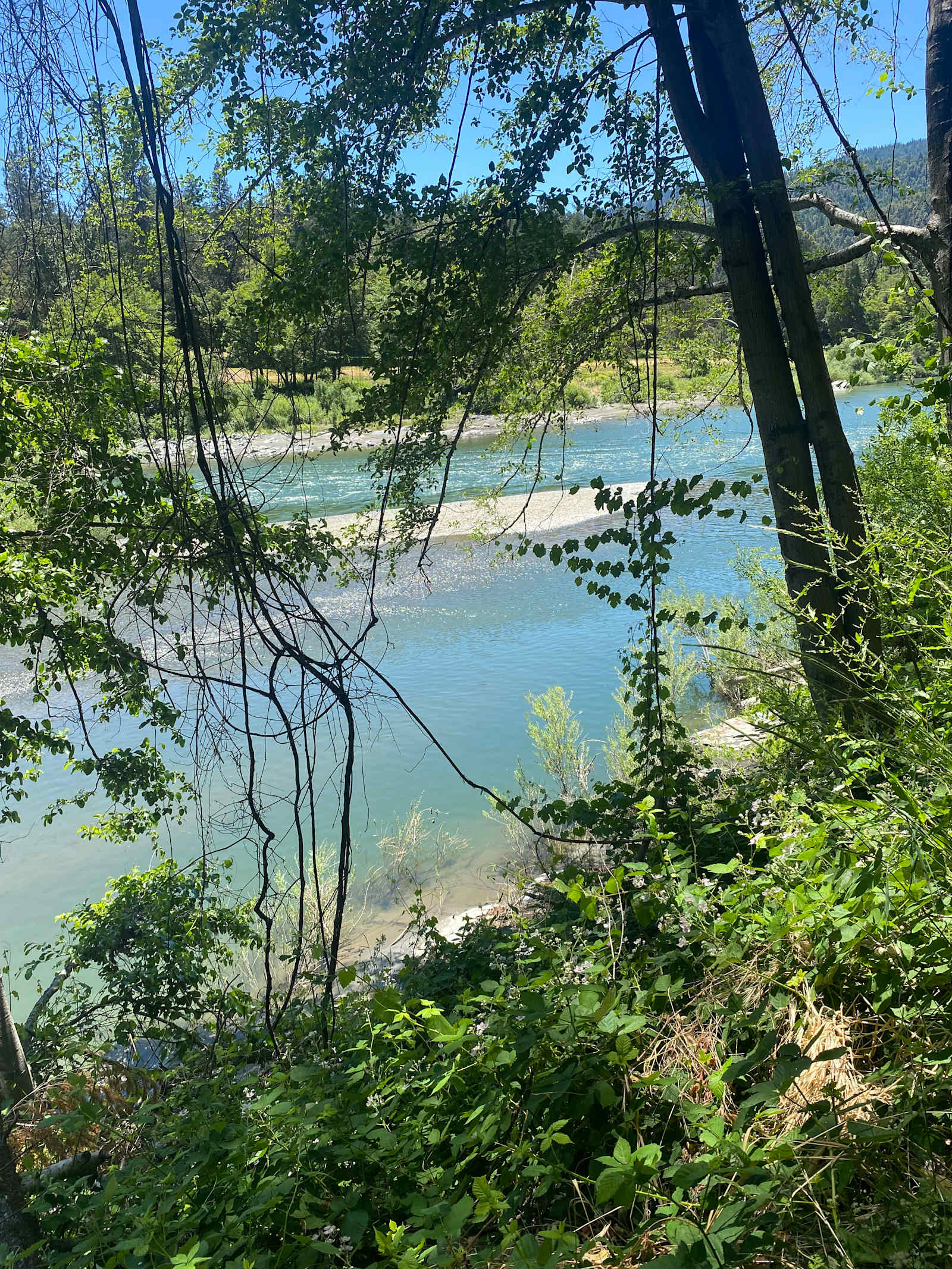 Perch Riverview Glamping - Willow Creek, California - glamping.directory