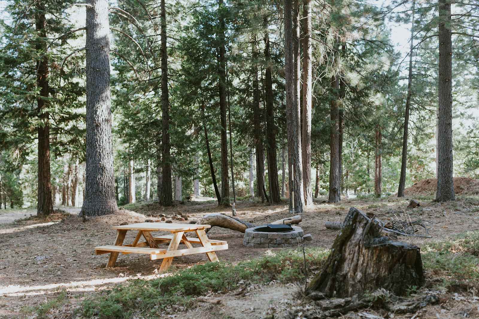 4,000 Ft Closer to Heaven - Somerset, California - glamping.directory