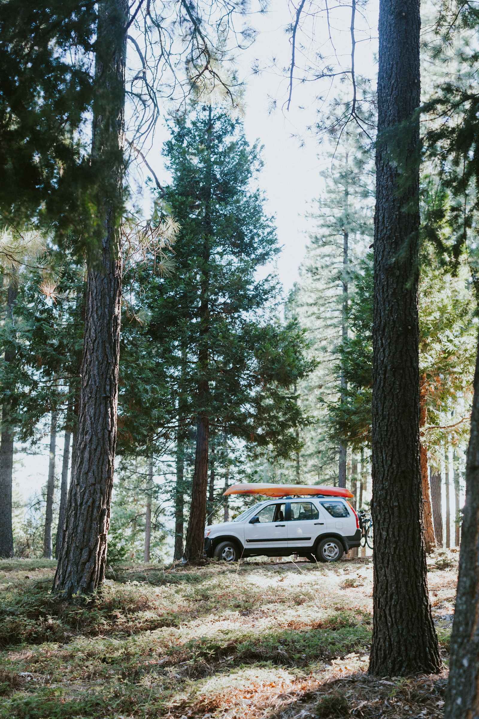 4,000 Ft Closer to Heaven - Somerset, California - glamping.directory