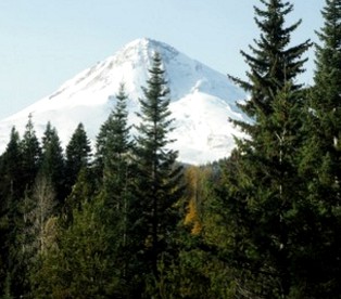 Comfortable Family Rental with Mount Hood Views in Northern Oregon - Mt. Hood, Oregon - glamping.directory