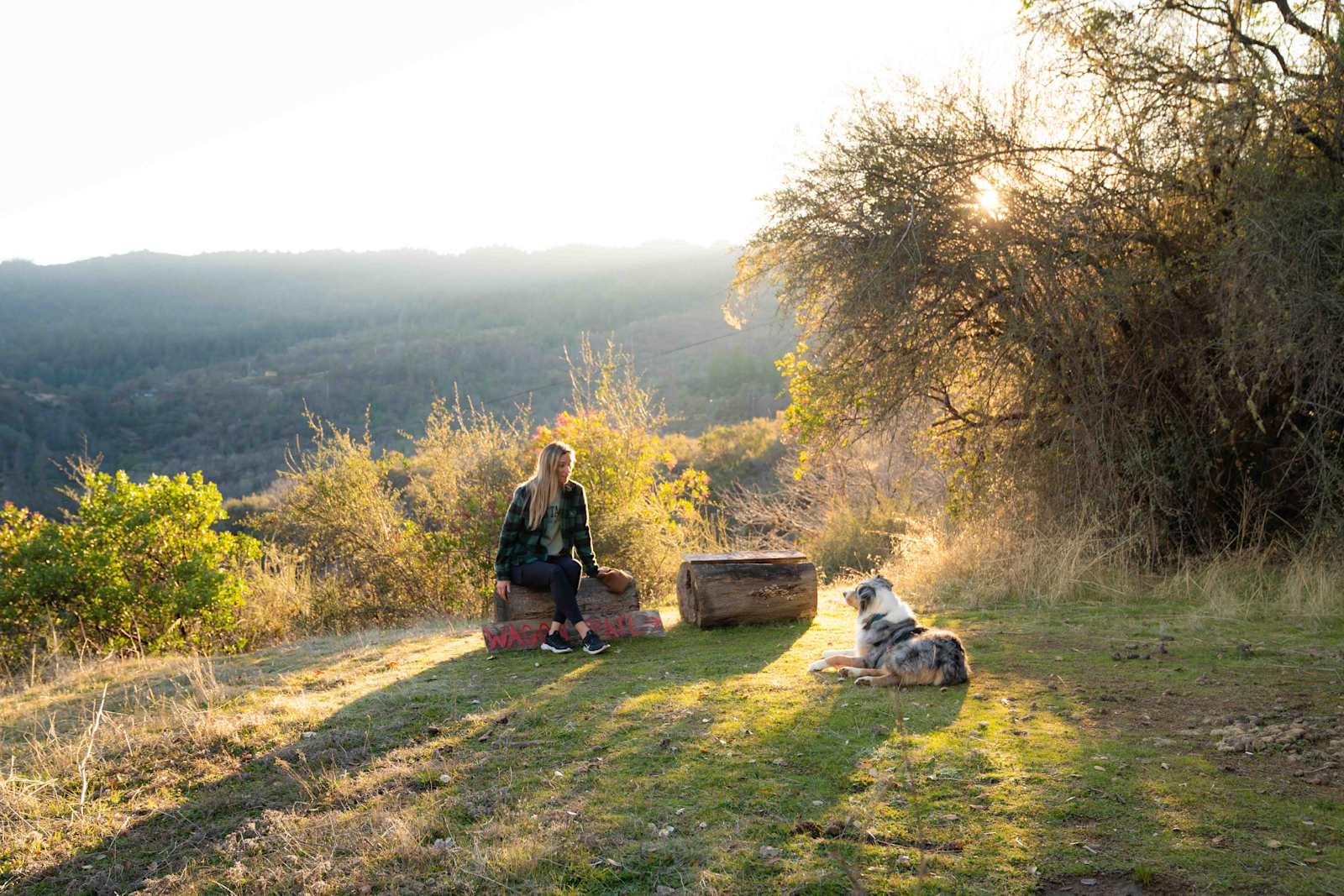 spirit chicken ranch - Ukiah, California - glamping.directory