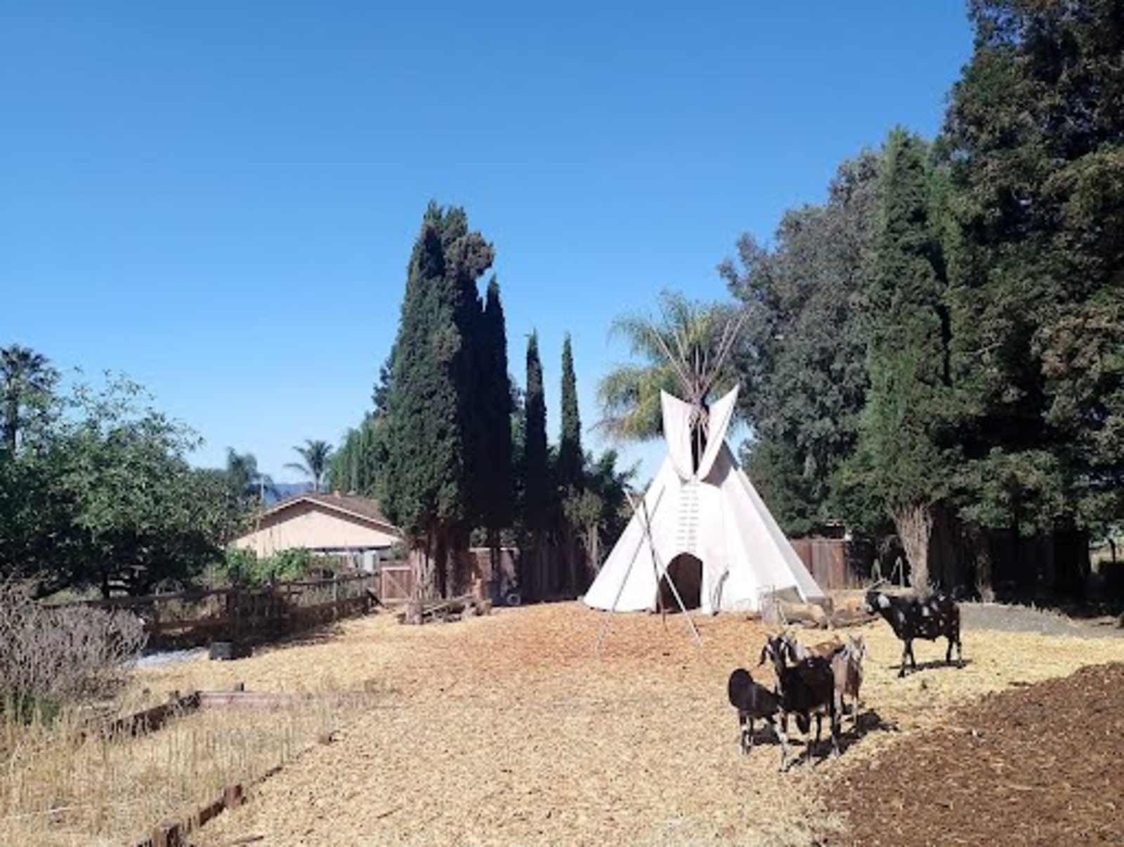 Managed Mischief Micro Farm - glamping.directory