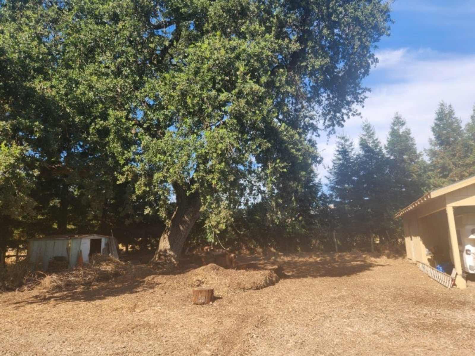 Managed Mischief Micro Farm - Gilroy, California - glamping.directory