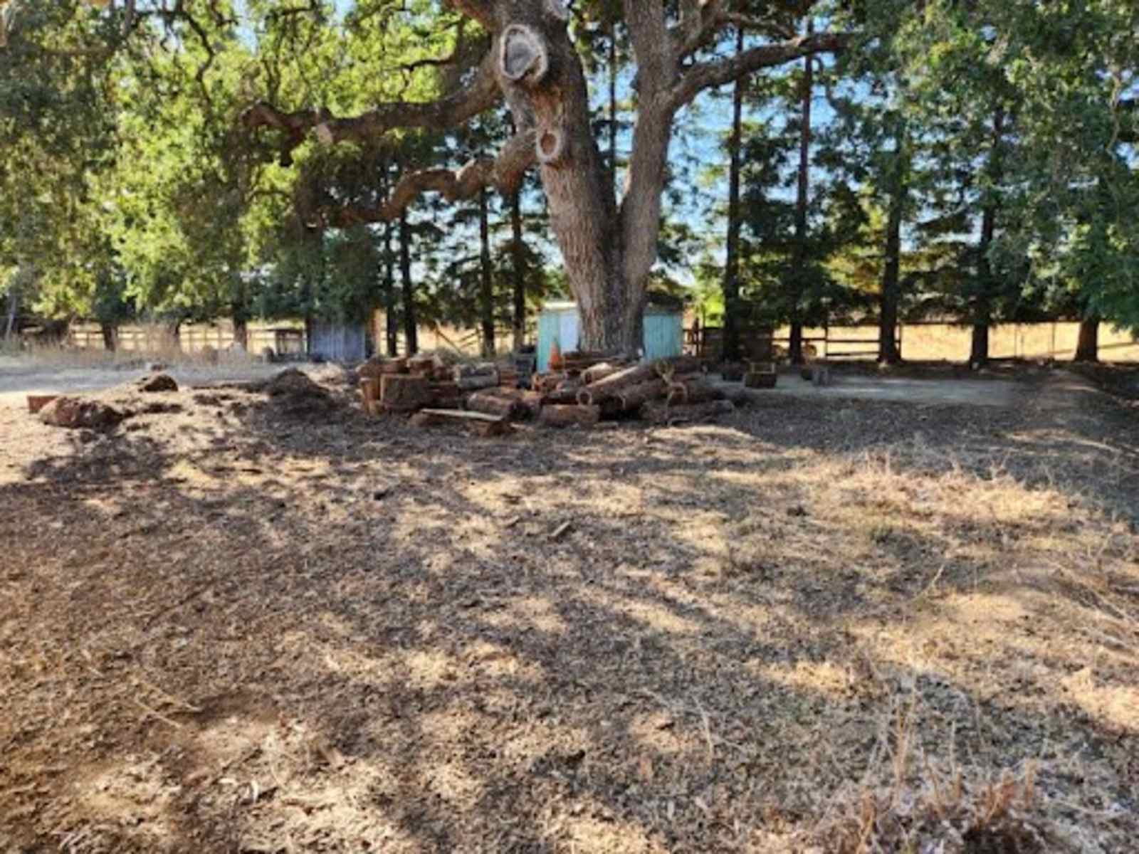 Managed Mischief Micro Farm - Gilroy, California - glamping.directory