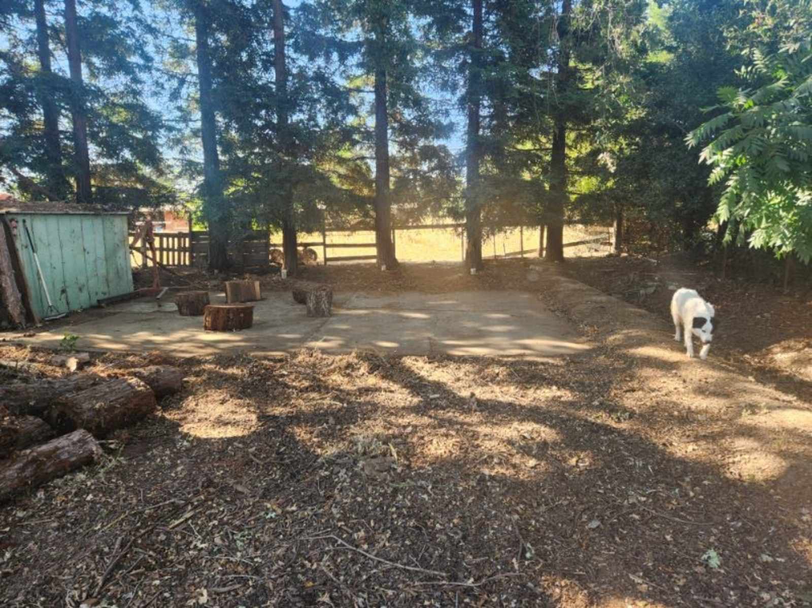 Managed Mischief Micro Farm - Gilroy, California - glamping.directory