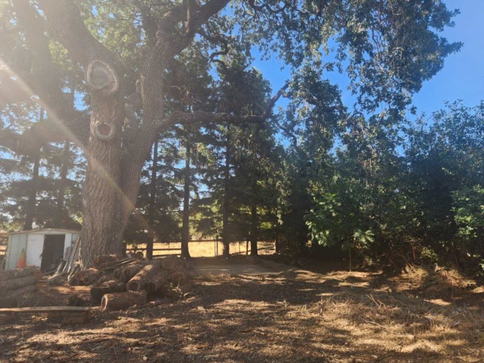 Managed Mischief Micro Farm - Gilroy, California - glamping.directory