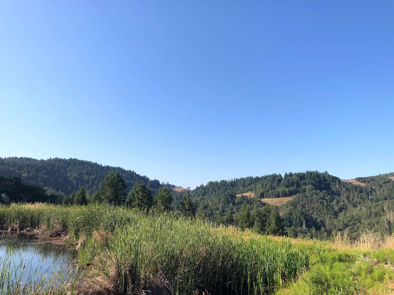 Cannabis Friendly Camping - Willits, California - glamping.directory
