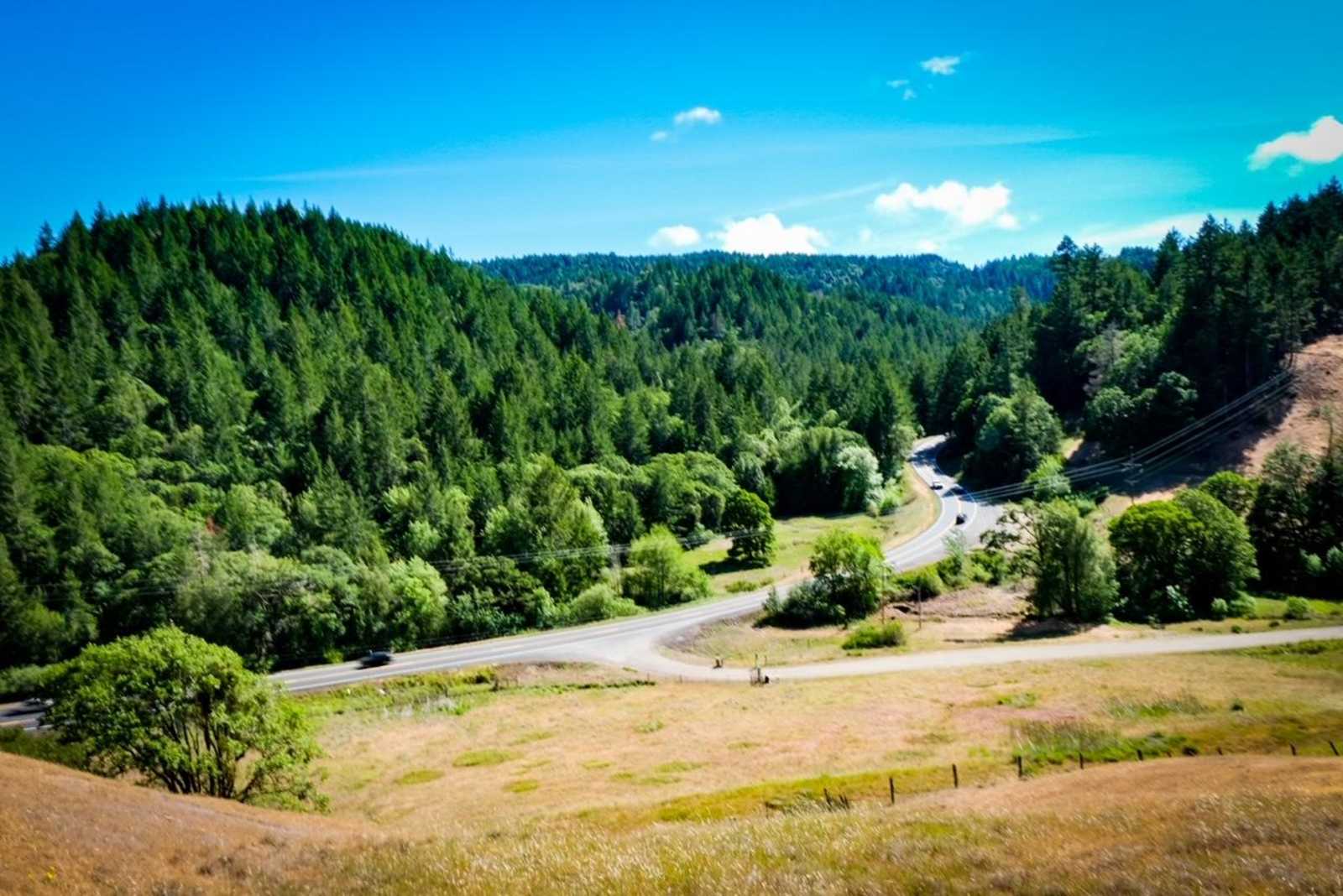 Cannabis Friendly Camping - glamping.directory