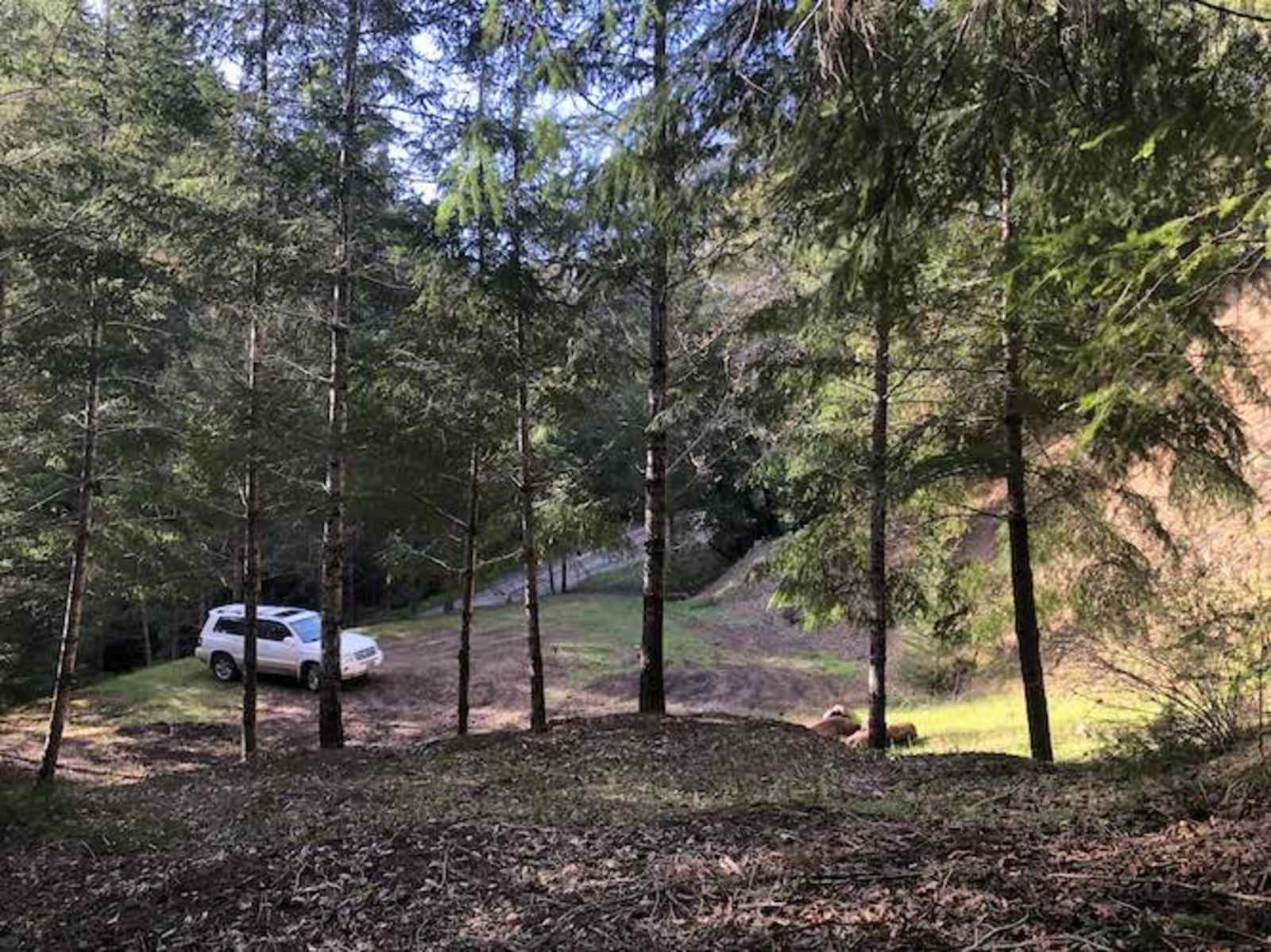 Cannabis Friendly Camping - Willits, California - glamping.directory