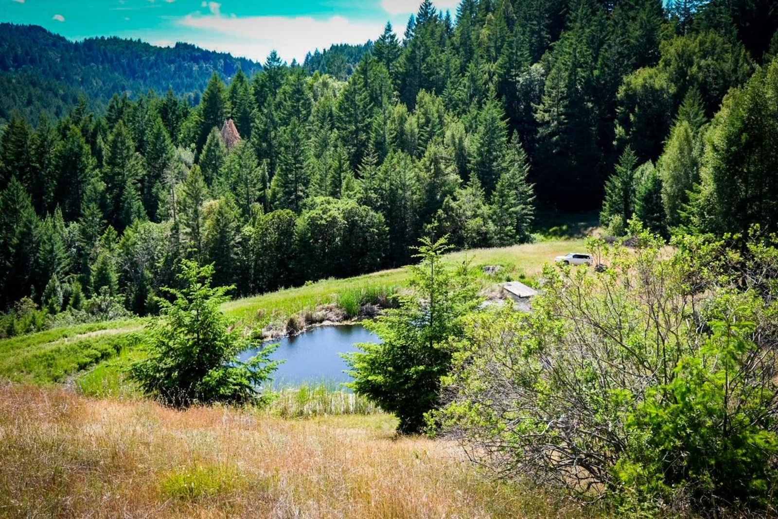 Cannabis Friendly Camping - Willits, California - glamping.directory
