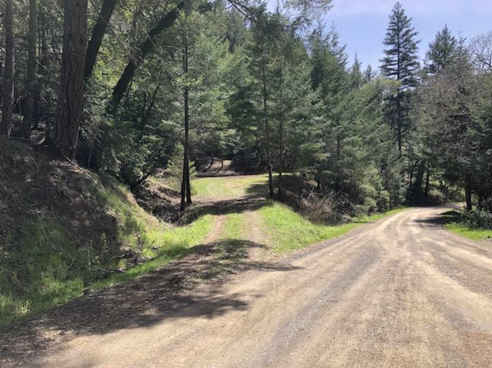Cannabis Friendly Camping - Willits, California - glamping.directory
