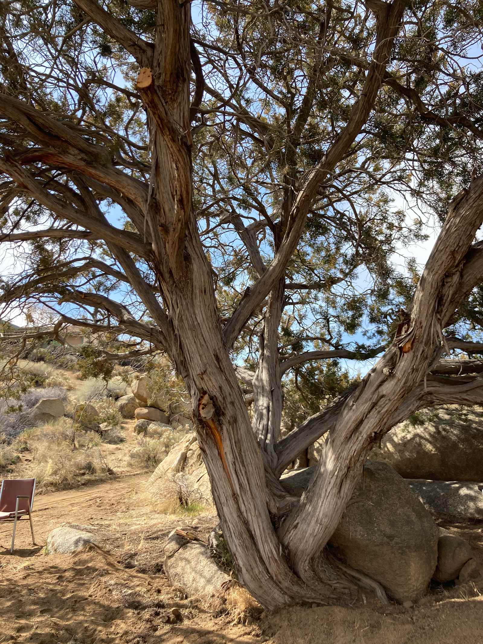 Double Triangle Ranch - Weldon, California - glamping.directory