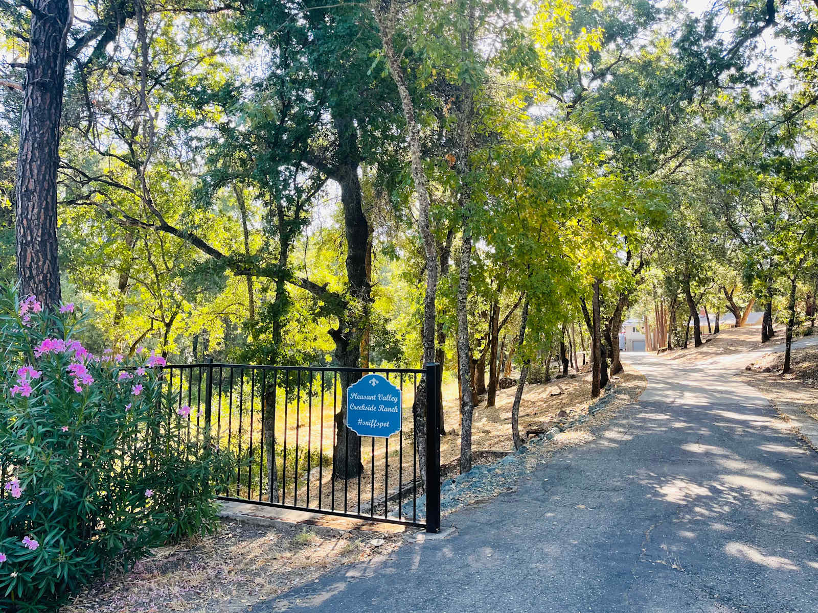 Pleasant Valley Creekside Ranch LLC - Penn Valley, California - glamping.directory
