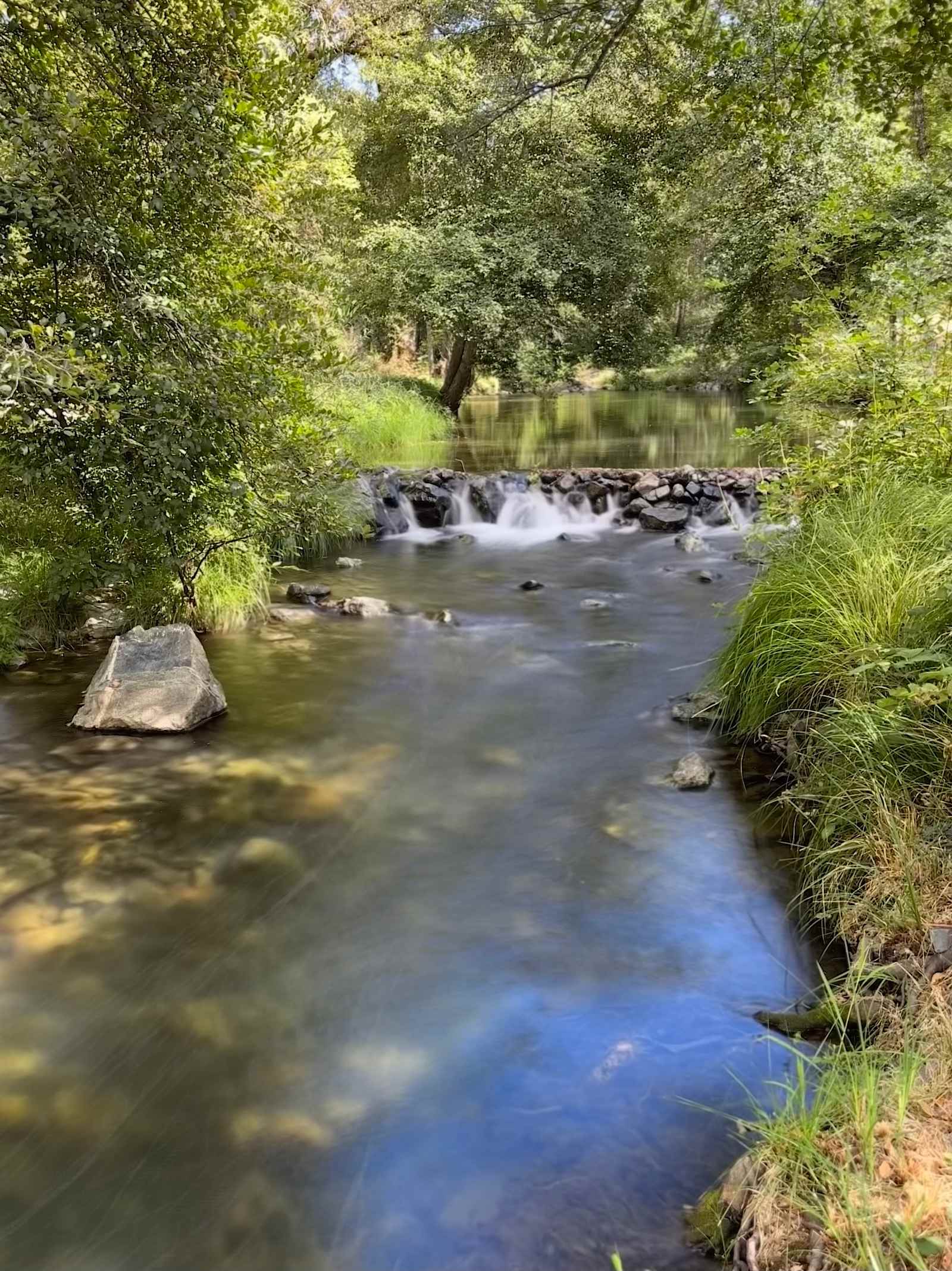 Pleasant Valley Creekside Ranch LLC - Penn Valley, California - glamping.directory