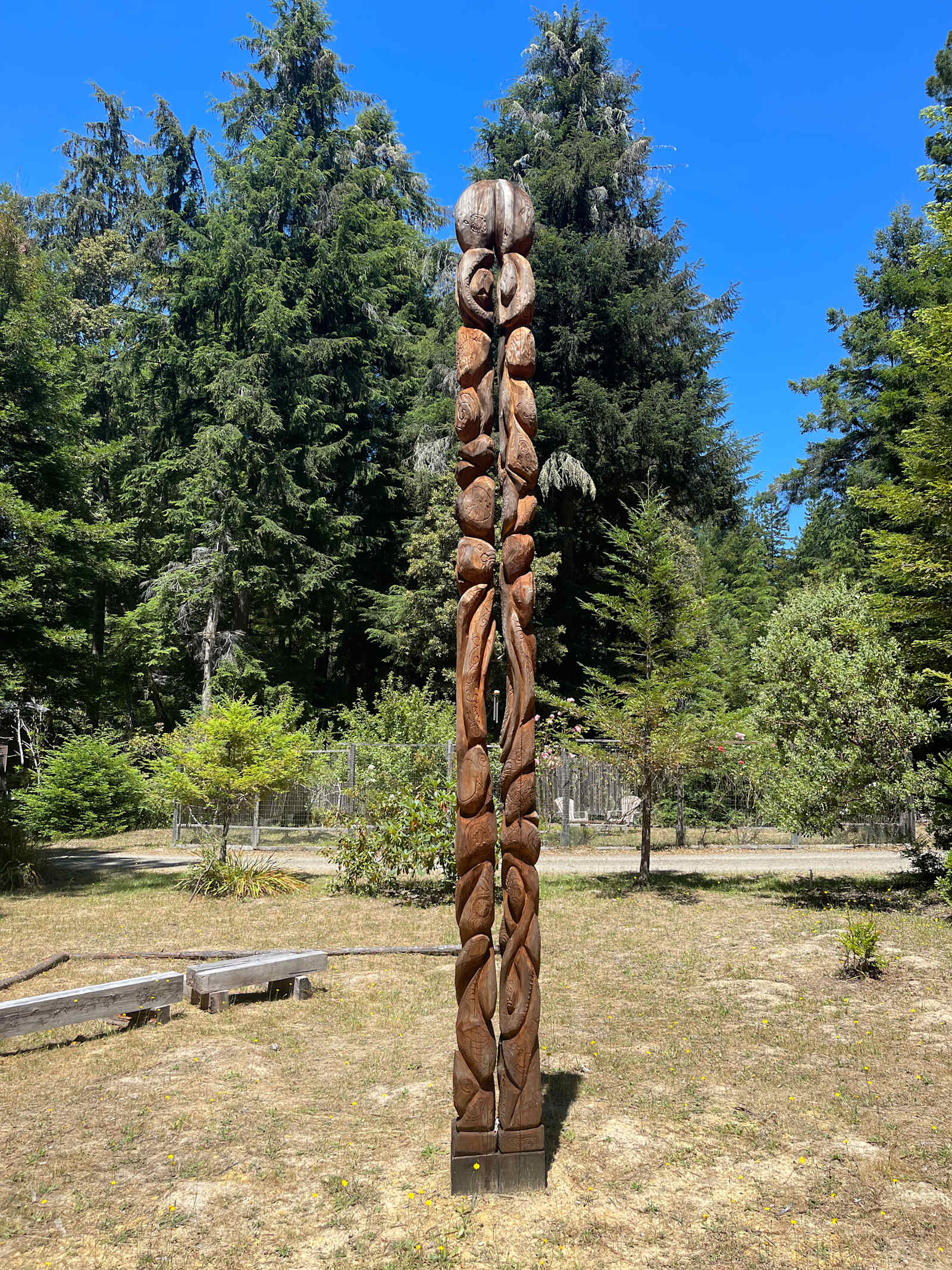 CAMPFIRE! - Mendocino, California - glamping.directory