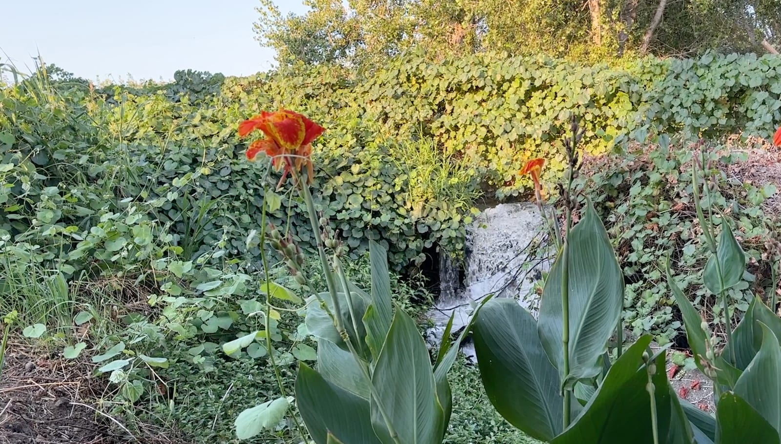 FullCircle Florals Flower Farm - Corning, California - glamping.directory