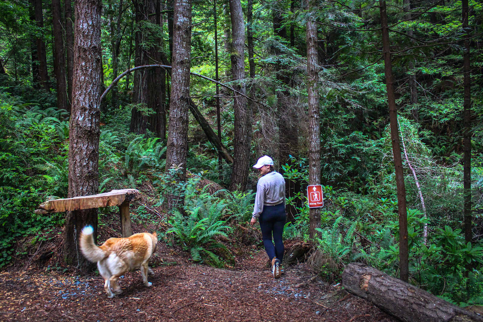 Whispering Redwood Creek - Mc Kinleyville, California - glamping.directory