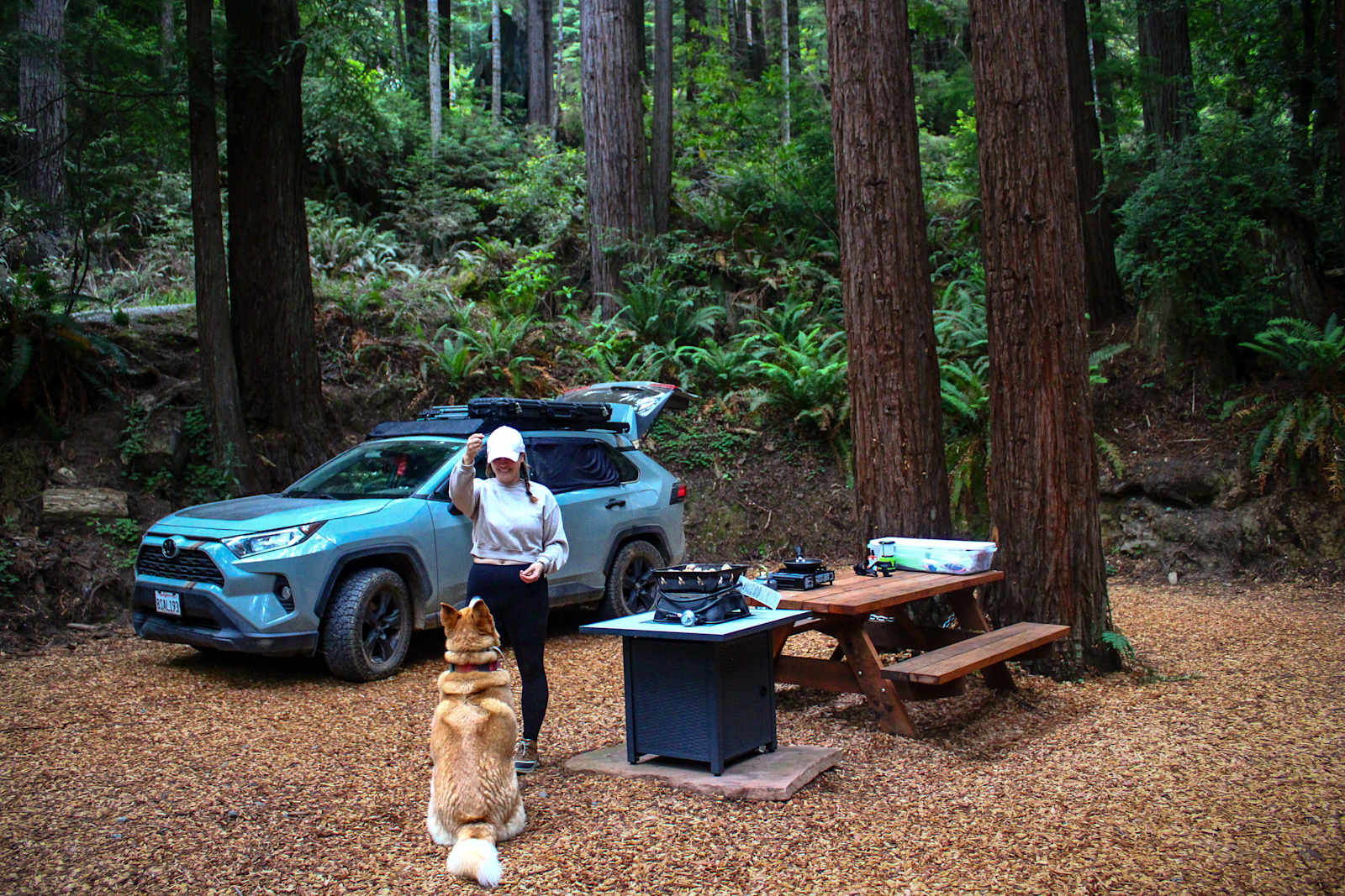 Whispering Redwood Creek - Mc Kinleyville, California - glamping.directory