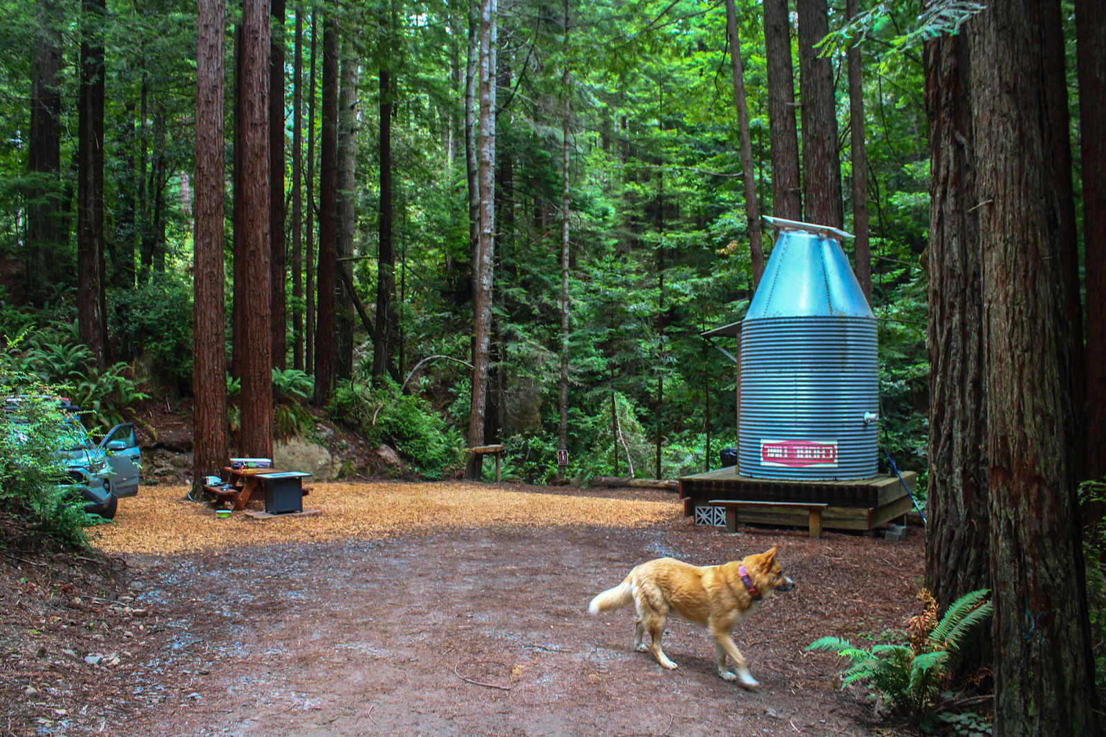 Whispering Redwood Creek - Mc Kinleyville, California - glamping.directory
