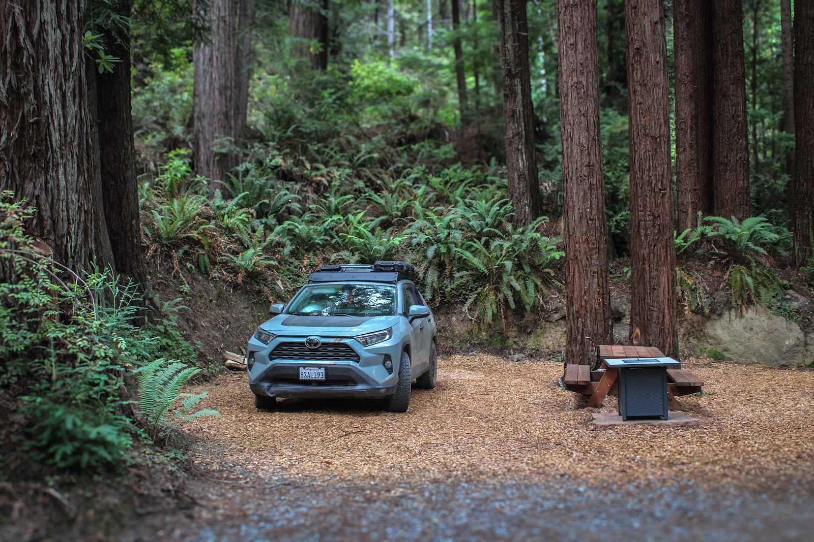 Whispering Redwood Creek - glamping.directory