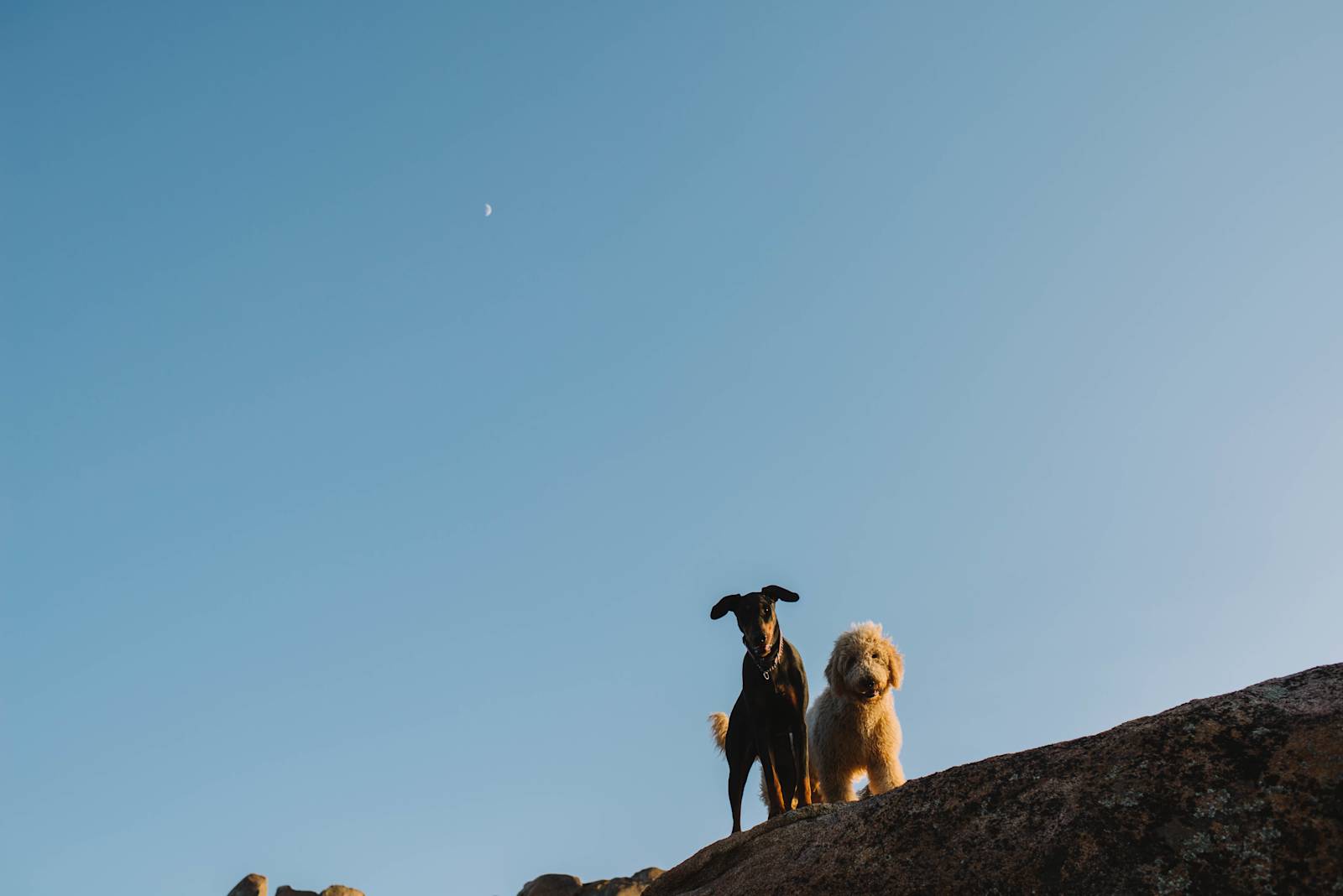 Sagewinds Farm High Desert camp - Jacumba Hot Spring, California - glamping.directory
