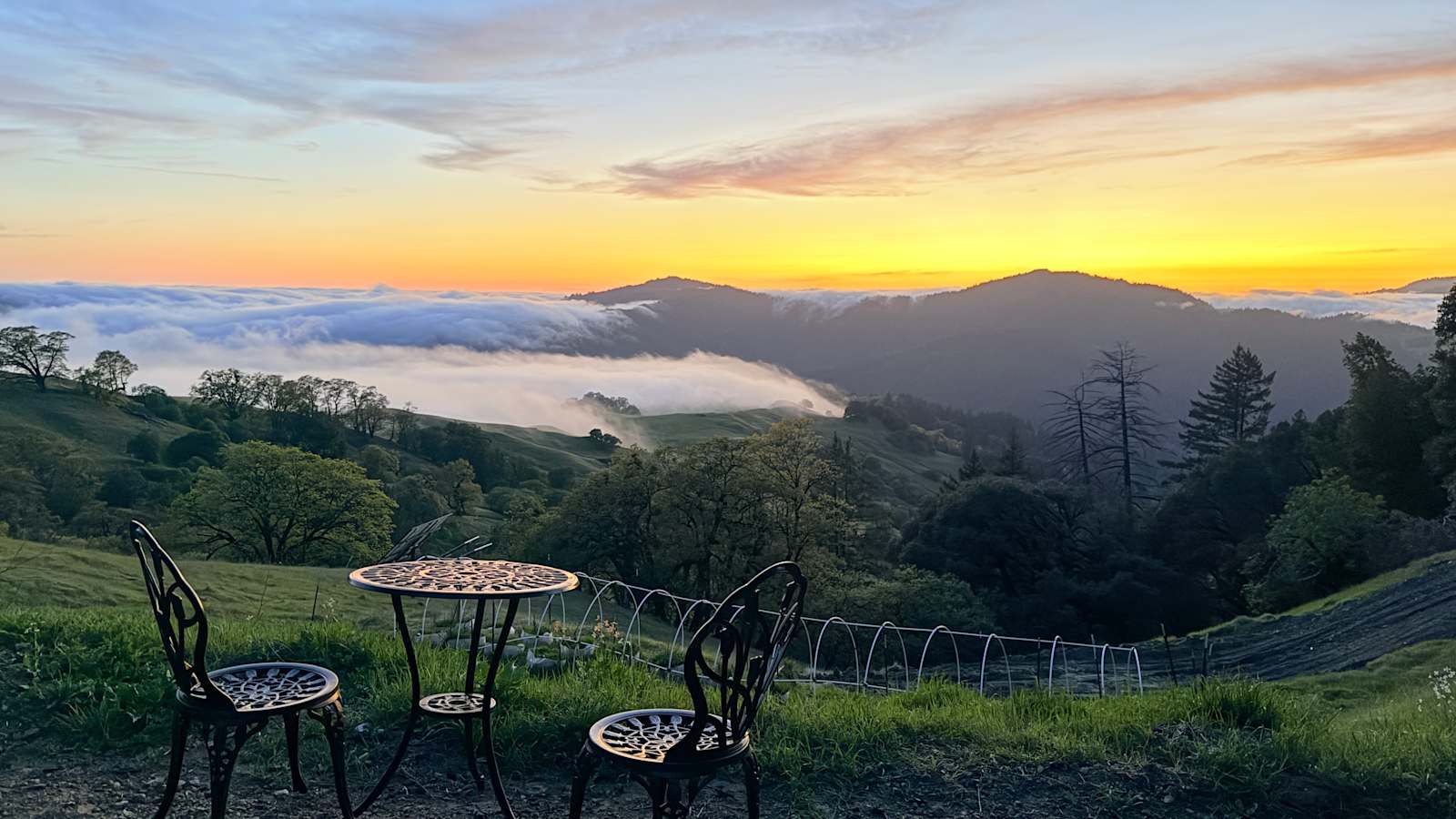 Experience: Bell Springs - glamping.directory