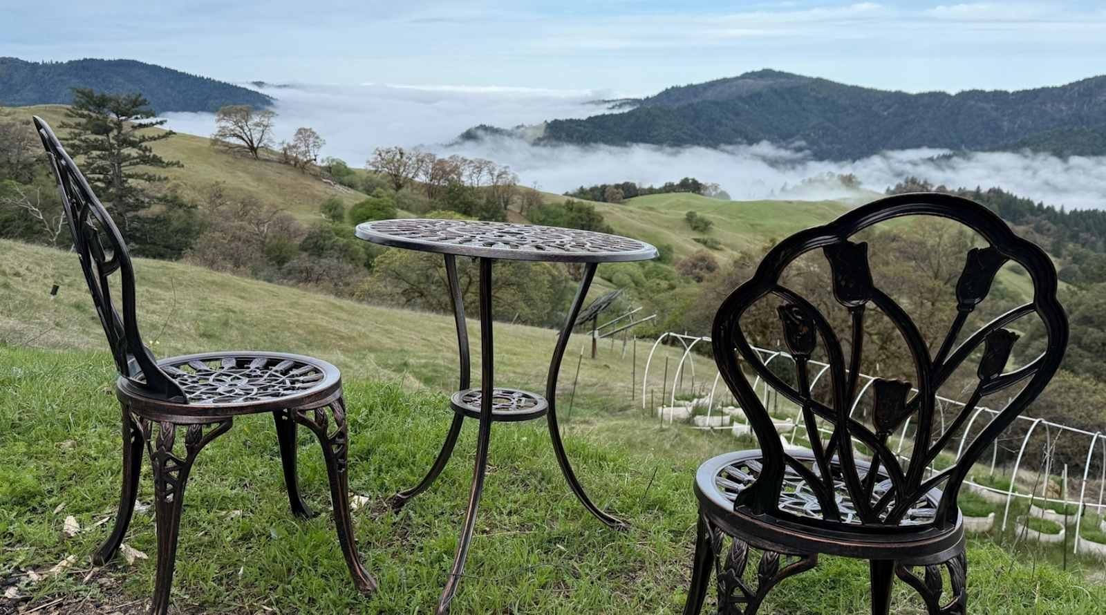 Experience: Bell Springs - Laytonville, California - glamping.directory