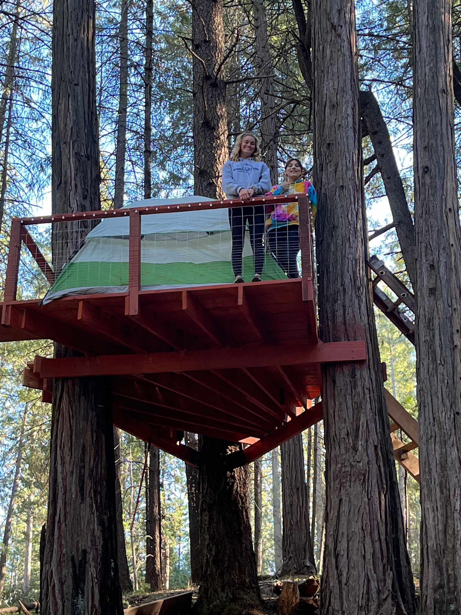 Unplug for nature, dogs, and kids - Mokelumne Hill, California - glamping.directory