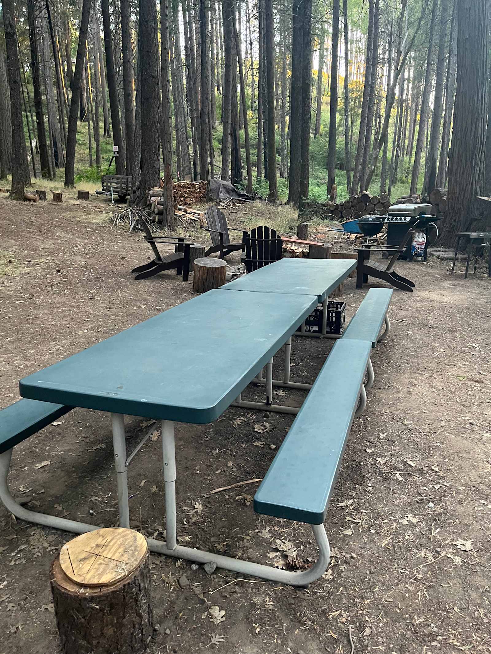 Unplug for nature, dogs, and kids - Mokelumne Hill, California - glamping.directory